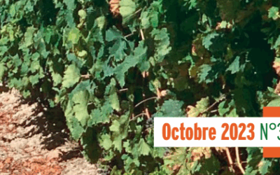 Gazette N°33 – Octobre 2023