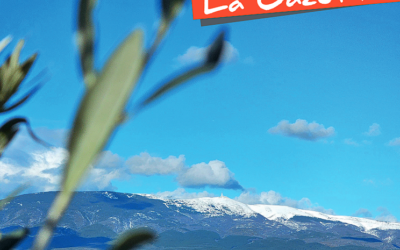 Gazette N°35 – Avril 2024