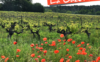 Gazette N°36 – Juillet 2024