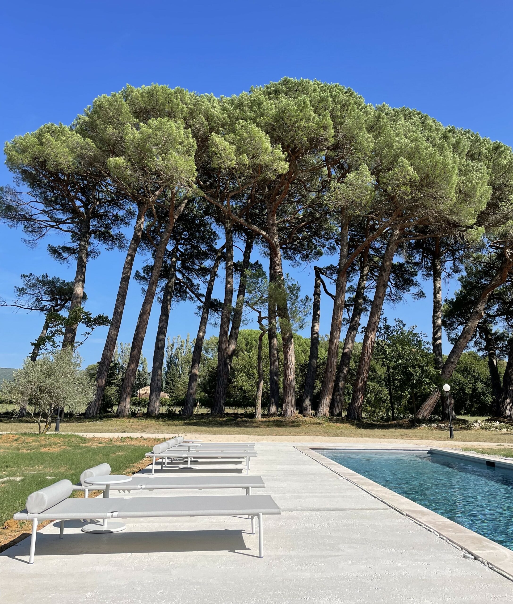 Gîte de prestige – La Pavoyère