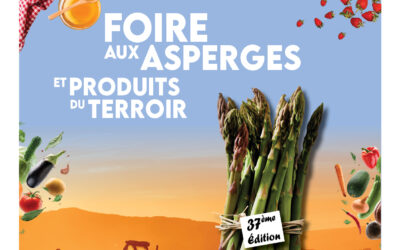 Le M’ – N°7 Mars/Avril 2026